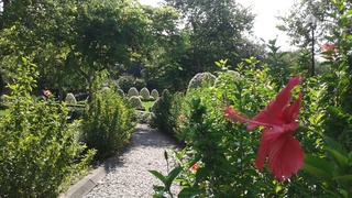 20140905_152231_resized.jpg