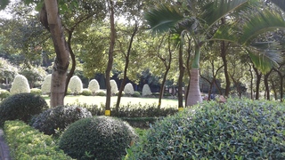 20140905_153303.jpg